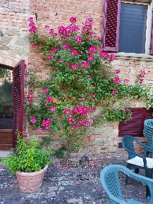 Foto Agriturismo a Marciano della Chiana di 500 m² con 12 locali in vendita