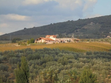 Foto Attività commerciale a Montecchio di 350 m² con 8 locali in vendita