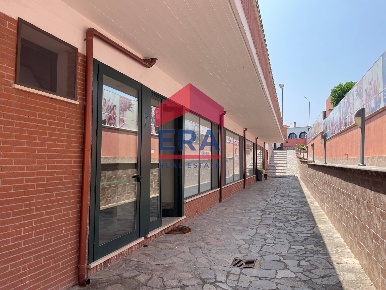 Foto Attività commerciale in Via Venezia, Ardea Nuova Florida di 300 m²