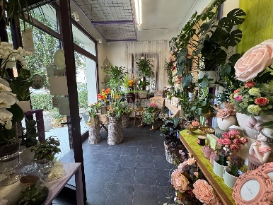 Foto Attività commerciale in Via Salaria, Monsampolo del Tronto Stella