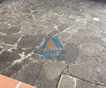 Foto Attività commerciale a San Miniato di 30 m² con 1 locali in affitto