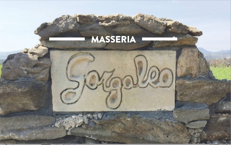 Foto Cessione attività in VIA LA LUNA, Nova Siri di 1340 m² con 13 locali