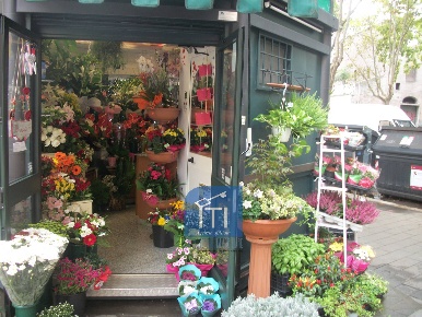 Foto Attività commerciale in via latina, Roma San Giovanni di 19 m²