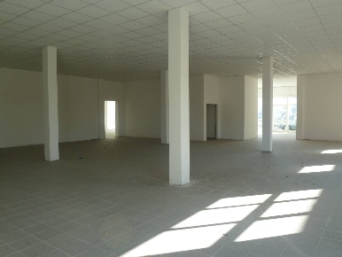 Foto Attività commerciale in Via Santa Marta, Pisa Don Bosco di 175 m²
