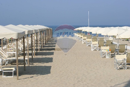 Foto Attività commerciale a Viareggio Città Giardino di 3000 m² in vendita