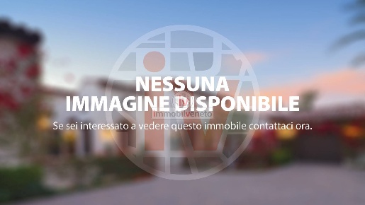 Foto Attività commerciale in VIA ROMA, Lonigo Centro di 60 m² con 2 locali