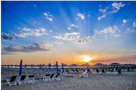 Foto Attività commerciale in viale Pistelli, Camaiore Lido di Camaiore