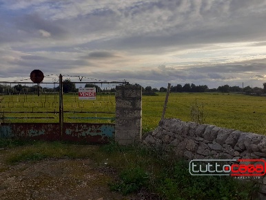 Foto Agriturismo in CONTRADA GUADAGNA, Scicli in vendita