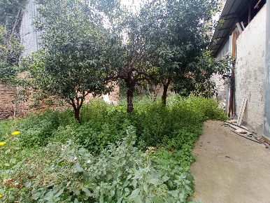 Foto Magazzino in VIA GIUSTI, Floridia di 265 m² in vendita