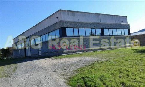 Foto Attività commerciale a Gavorrano La Merlina San Giuseppe di 500 m²