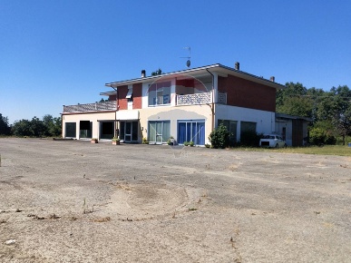 Foto Locale commerciale in SP594, Ghislarengo di 1035 m² con 1 locali