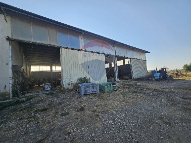 Foto Attività commerciale a Suvereto di 400 m² con 1 locali in vendita