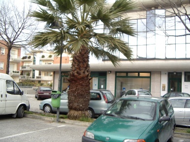 Foto Locale commerciale in Largo Danubio, San Benedetto del Tronto di 50 m²