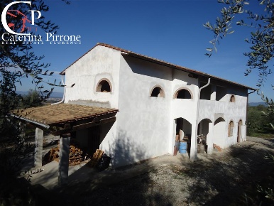 Foto Cessione attività in via Buecchio, San Miniato di 270 m² con 9 locali