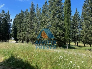 Foto Attività commerciale a Montelupo Fiorentino di 200 m² in affitto
