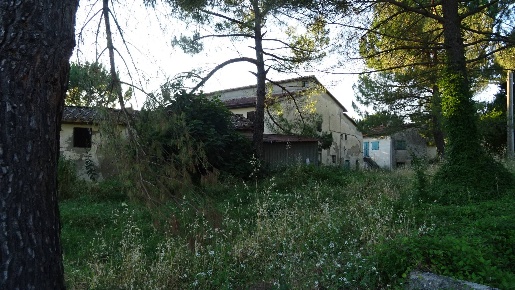 Foto Cessione attività a Montespertoli di 1000 m² con 30 locali in vendita