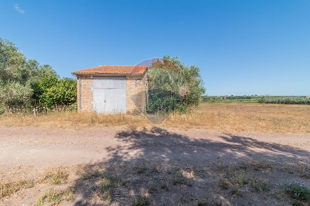 Foto Terreno agricolo a Canino di 25000 m² in vendita