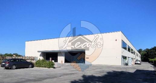 Foto Laboratorio in C.da Majanesi, Treia di 2940 m² in vendita