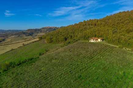 Foto Cessione attività a Radicondoli di 1200 m² con 8 locali in vendita