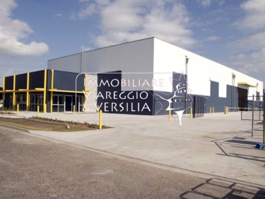 Foto Magazzino in via dei Falegnami, Camaiore Capezzano Pianore di 1330 m²