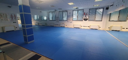 Foto Attività commerciale in Belfiore, Mantova Belfiore di 150 m²