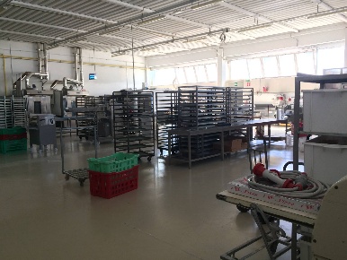 Foto Attività commerciale in Via Piemonte, Casciana Terme Lari di 400 m²