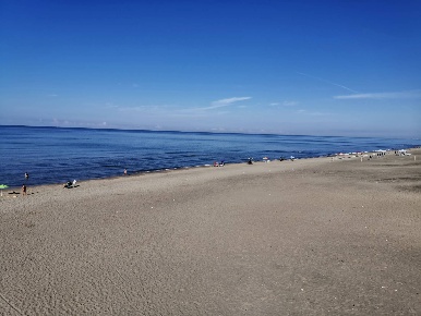 Foto Attività commerciale a Ardea di 577 m² con 10 locali in vendita