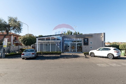 Foto Attività commerciale in VIA FISICHELLI, San Giovanni la Punta Centro
