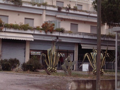 Foto Locale commerciale in Via Taormina, Martinsicuro Villa Rosa di 110 m²