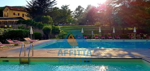 Foto Attività commerciale a Grosseto di 1000 m² con 50 locali in affitto