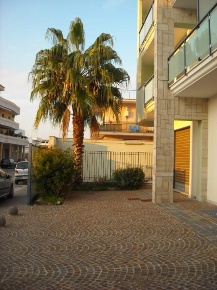 Foto Negozio in VIA OLEANDRI, Sant'Antimo di 600 m² con 1 locali in affitto