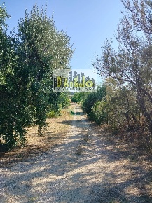 Foto Agriturismo in Rovecciano, Offida di 350 m² con 3 locali in vendita