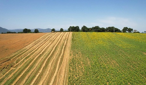 Foto Cessione attività in Vocabolo Fonticelle, Matelica con 1 locali