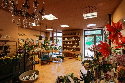 Foto Attività commerciale in PIAZZA DELLA VITTORIA, Cairo Montenotte Centro