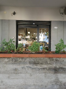 Foto Negozio in via magna graecia, Capaccio Paestum di 40 m² con 1 locali