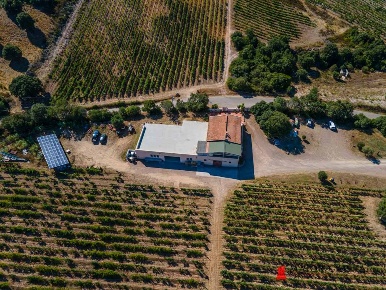 Foto Cessione attività in località Azzanido, Loiri Porto San Paolo