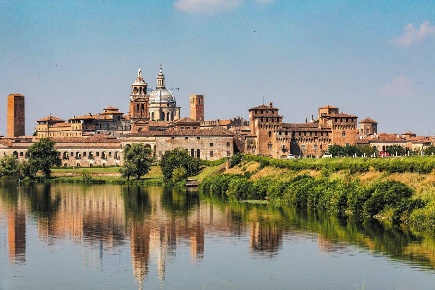 Foto Attività commerciale in VIA PARMA, Mantova Due Pini - Te Brunetti