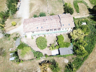 Foto Cessione attività in strada Zucca, Murisengo di 1000 m² con 25 locali