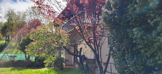 Foto Villa bifamiliare in stazione, Mornago Centro di 180 m² con 5 locali