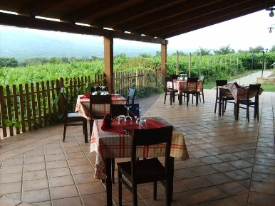 Foto Agriturismo a Solopaca di 200 m² con 10 locali in vendita