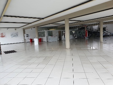 Foto Attività commerciale in Via Romana, Lucca Arancio di 1100 m²