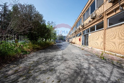 Foto Ufficio in Via Faustiniana, Roma Settecamini di 400 m² con 11 locali