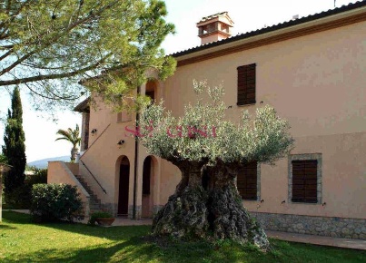 Foto Cessione attività a Capalbio di 260 m² con 9 locali in vendita