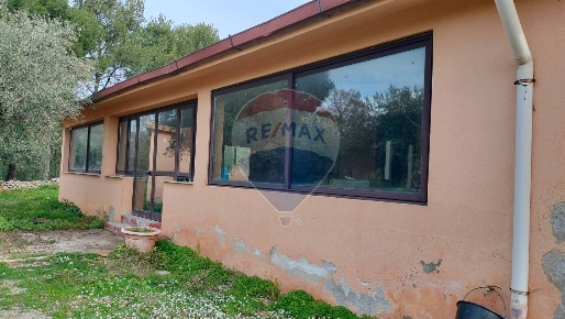 Foto Attività commerciale in CONTRADA PIANO DI GUARDIA, Terrasini