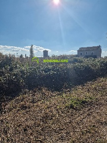 Foto Agriturismo a Cisterna di Latina di 5000 m² in vendita
