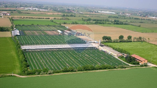 Foto Cessione attività in SAN ZENO, Treviglio di 700 m² con 10 locali