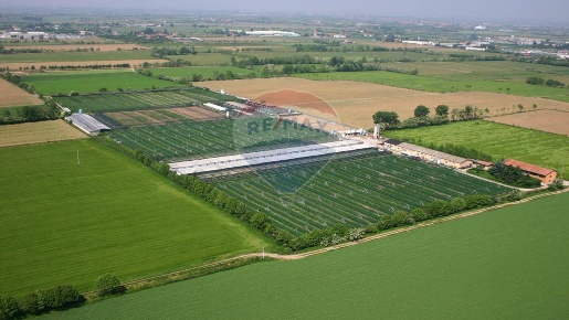 Foto Cessione attività in SAN ZENO, Treviglio di 700 m² con 10 locali