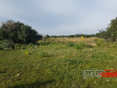 Foto Agriturismo in C.DA SPANA, Scicli in vendita