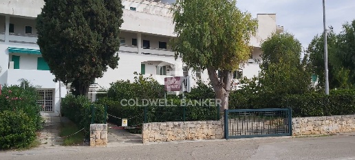 Foto Attività commerciale in Cornelia palazzo uffici, Ostuni di 37 m²