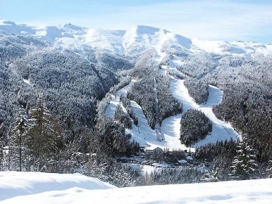 Foto Attività commerciale a Abetone Cutigliano Cutigliano di 123 m²